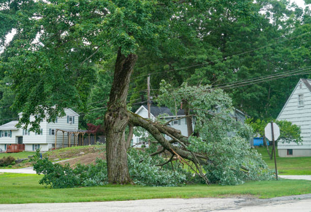 Wakarusa, IN  Tree Services Company